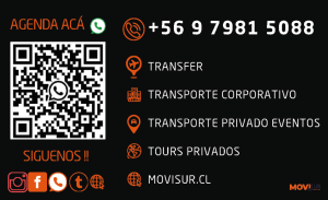 Captura de Pantalla 2025-04-11 a las 10.30.59